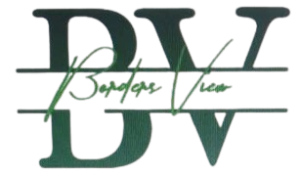 default-logo